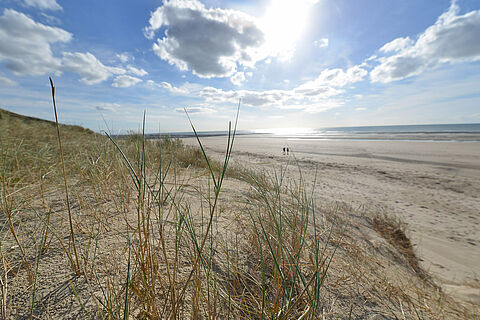 dune et plage