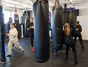 Agrandir l'image (fenêtre modale)