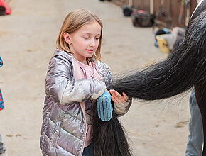 Agrandir l'image (fenêtre modale)