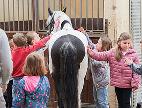Agrandir l'image (fenêtre modale)