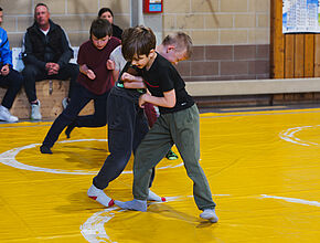 Agrandir l'image (fenêtre modale)