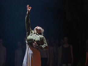 Agrandir l'image (fenêtre modale)