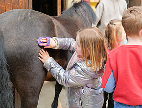 Agrandir l'image (fenêtre modale)