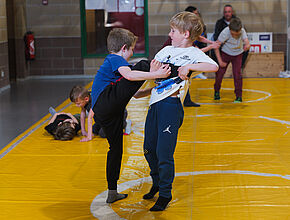 Agrandir l'image (fenêtre modale)