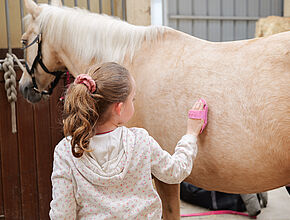 Agrandir l'image (fenêtre modale)
