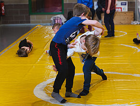 Agrandir l'image (fenêtre modale)