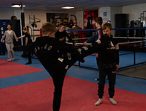 Agrandir l'image (fenêtre modale)