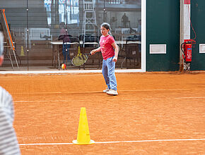 Agrandir l'image (fenêtre modale)