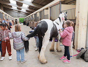 Agrandir l'image (fenêtre modale)