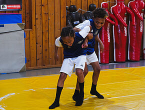 Agrandir l'image (fenêtre modale)