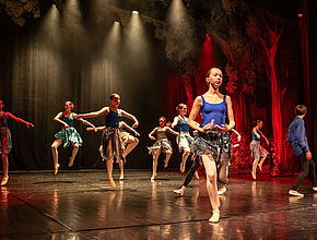 Agrandir l'image (fenêtre modale)