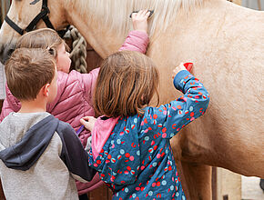 Agrandir l'image (fenêtre modale)