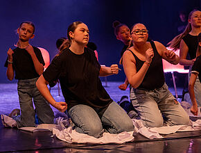 Agrandir l'image (fenêtre modale)