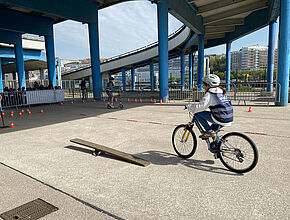Agrandir l'image (fenêtre modale)