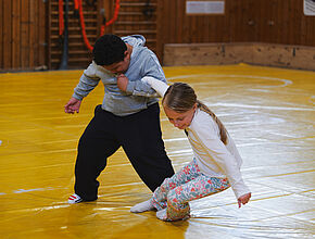 Agrandir l'image (fenêtre modale)