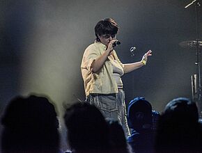 Agrandir l'image (fenêtre modale)