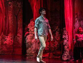 Agrandir l'image (fenêtre modale)