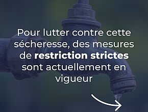 Agrandir l'image (fenêtre modale)