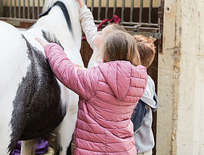 Agrandir l'image (fenêtre modale)