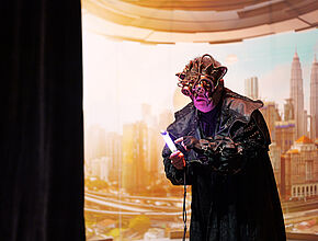 Agrandir l'image (fenêtre modale)