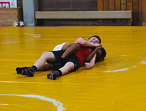 Agrandir l'image (fenêtre modale)