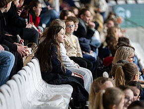 Agrandir l'image (fenêtre modale)