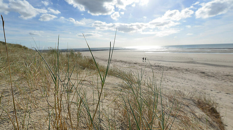 dune et plage