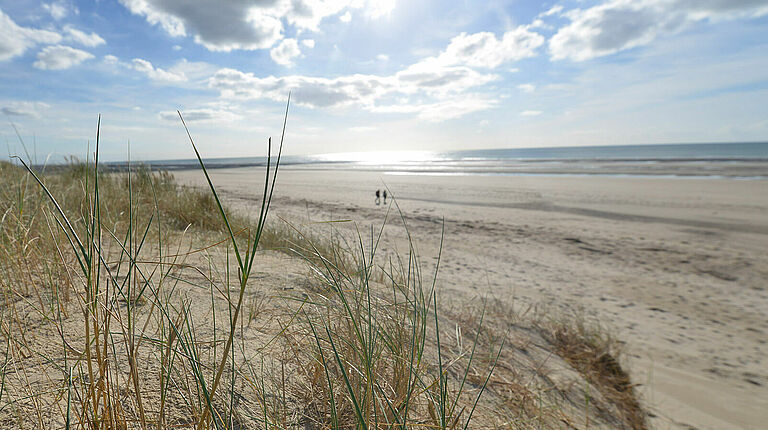 dune et plage