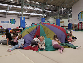 Agrandir l'image (fenêtre modale)