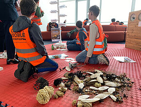 Agrandir l'image (fenêtre modale)