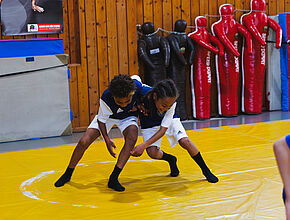 Agrandir l'image (fenêtre modale)